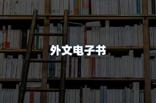 外文电子书